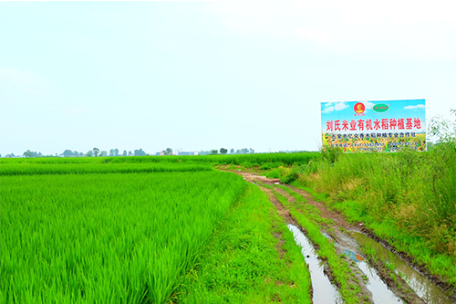 1655261721424434.png 2017010516352991021.png